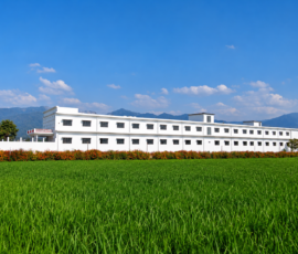 Bright-campus-with-lush-greenery